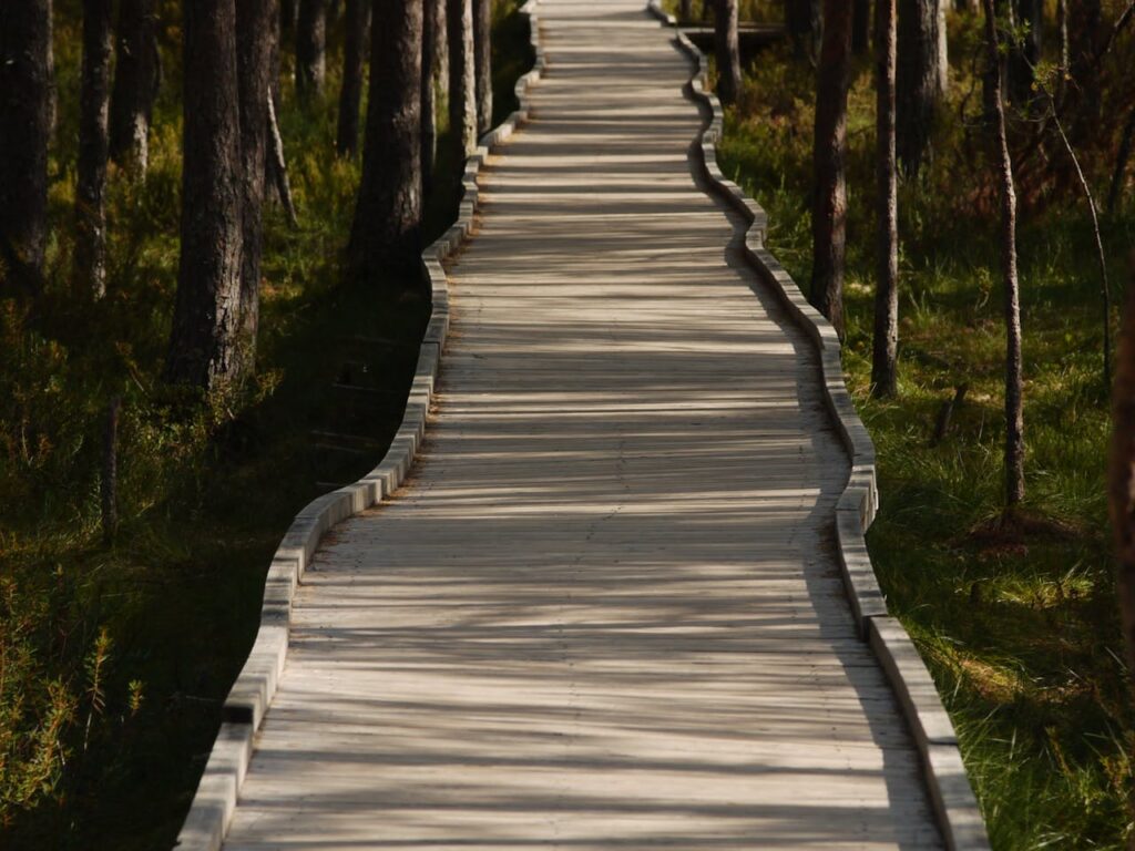 A scenic wooden pathway meanders through a lush forest, offering a tranquil outdoor setting.